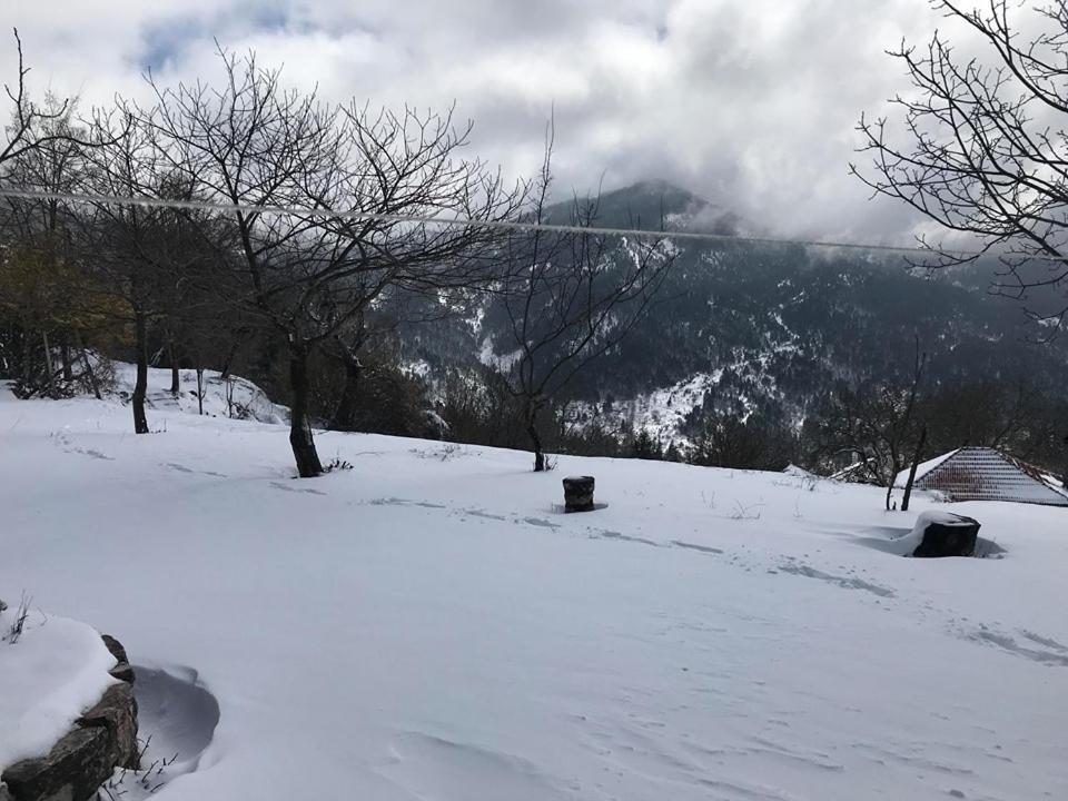 Mikro Katafygio Stavli Экстерьер фото